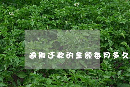 逾期还款的金额每月多久查询 逾期还款的金额每月多久查询
