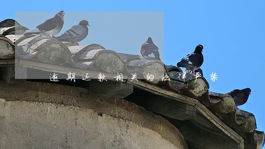 逾期还款相关的法律严禁 逾期还款相关的法律严禁
