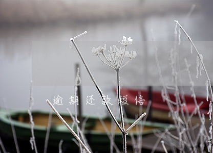 逾期还款短信 逾期还款短信
