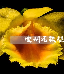 逾期还款短信提示内容 逾期还款短信提示内容