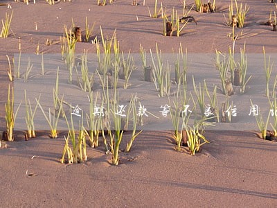 逾期还款等不良信用记录 逾期还款等不良信用记录