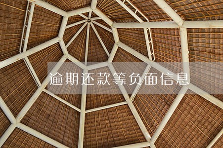 逾期还款等负面信息 逾期还款等负面信息