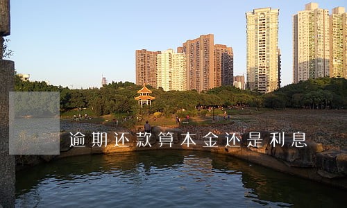 逾期还款算本金还是利息 逾期还款算本金还是利息