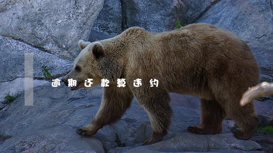 逾期还款算违约 逾期还款算违约