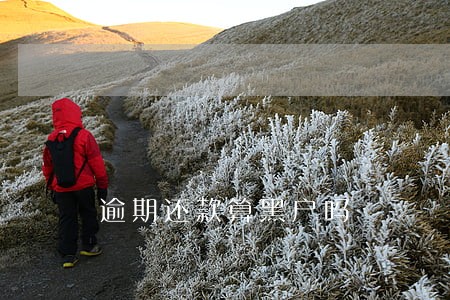 逾期还款算黑户吗