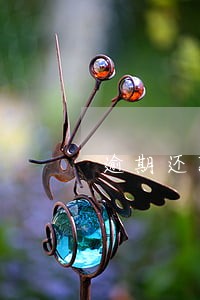 逾期还款约定与诉讼时效