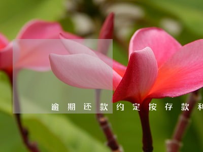 逾期还款约定按存款利率 逾期还款约定按存款利率