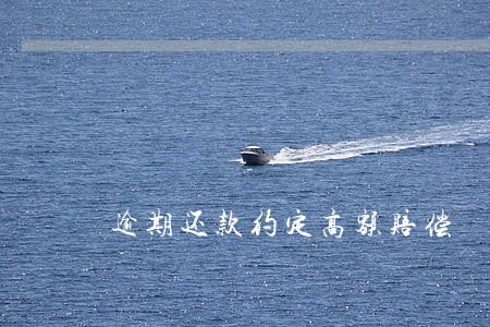 逾期还款约定高额赔偿