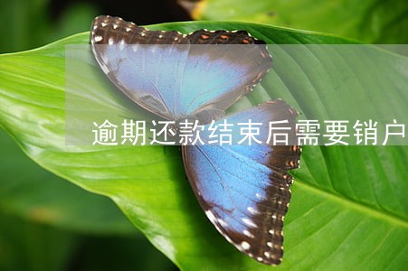 逾期还款结束后需要销户吗 逾期还款结束后需要销户吗