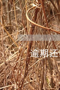 逾期还款结束申请还款证明 逾期还款结束申请还款证明