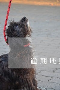 逾期还款结清后征信怎样