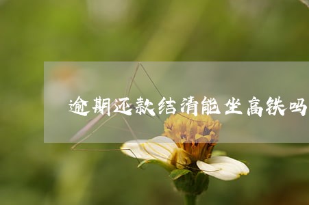逾期还款结清能坐高铁吗 逾期还款结清能坐高铁吗