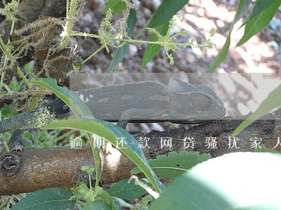 逾期还款网贷骚扰家人朋友 逾期还款网贷骚扰家人朋友