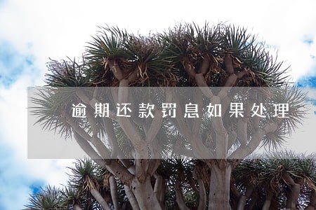 逾期还款罚息如果处理 逾期还款罚息如果处理