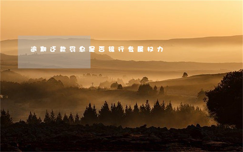 逾期还款罚息是否银行专属权力