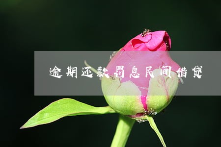 逾期还款罚息民间借贷 逾期还款罚息民间借贷