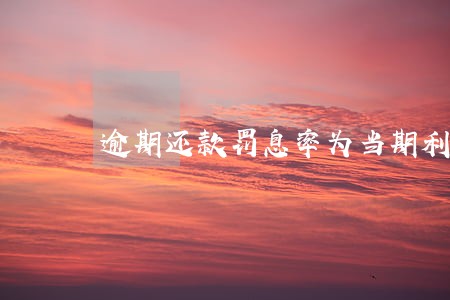 逾期还款罚息率为当期利率的