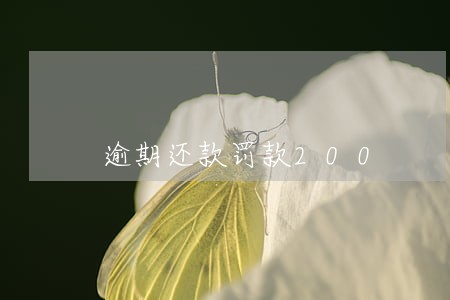 逾期还款罚款200