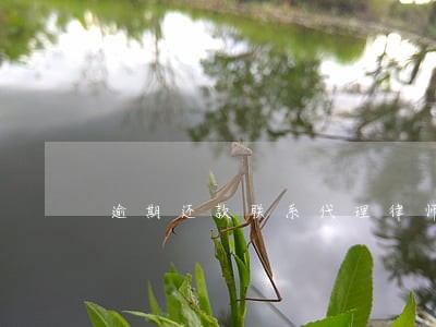 逾期还款联系代理律师 逾期还款联系代理律师