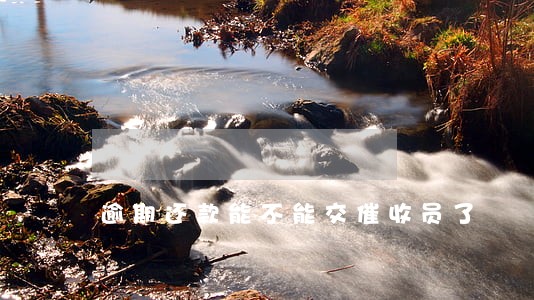 逾期还款能不能交催收员了 逾期还款能不能交催收员了