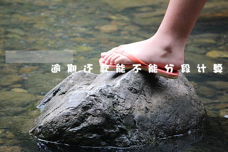 逾期还款能不能分段计算利息 逾期还款能不能分段计算利息