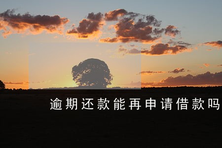逾期还款能再申请借款吗 逾期还款能再申请借款吗