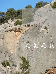 逾期还款能担保吗