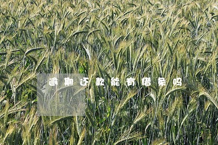 逾期还款能有借条吗 逾期还款能有借条吗