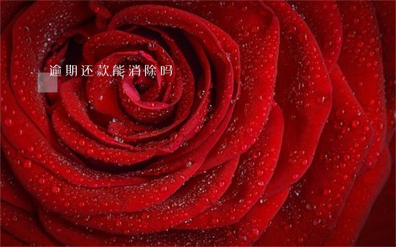 逾期还款能消除吗 逾期还款能消除吗