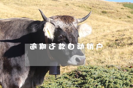 逾期还款自动销户 逾期还款自动销户