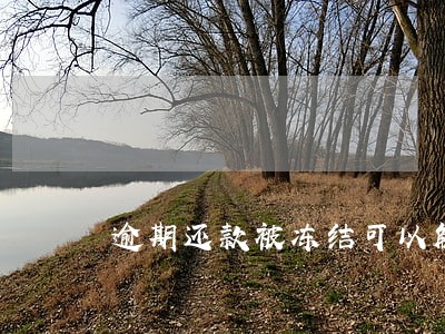 逾期还款被冻结可以解冻吗 逾期还款被冻结可以解冻吗