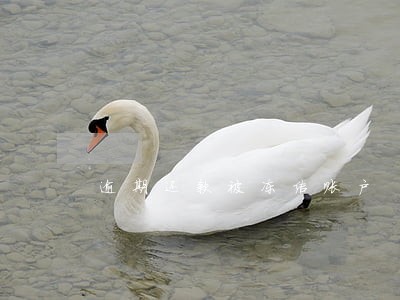 逾期还款被冻结账户 逾期还款被冻结账户