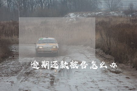 逾期还款被告怎么办 逾期还款被告怎么办