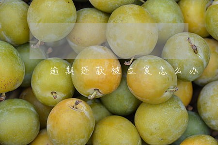 逾期还款被立案怎么办 逾期还款被立案怎么办