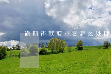 逾期还款被立案怎么处理 逾期还款被立案怎么处理