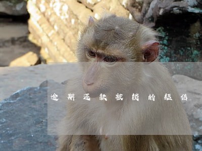 逾期还款被锁的短信