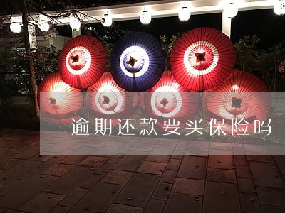 逾期还款要买保险吗 逾期还款要买保险吗