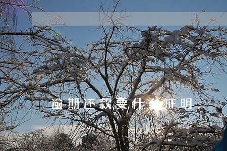 逾期还款要什么证明 逾期还款要什么证明