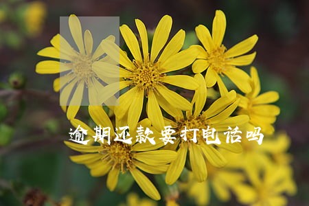 逾期还款要打电话吗 逾期还款要打电话吗