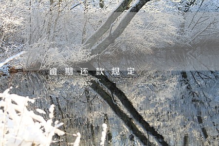 逾期还款规定 逾期还款规定