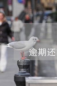 逾期还款规定时间还不上怎么办 逾期还款规定时间还不上怎么办