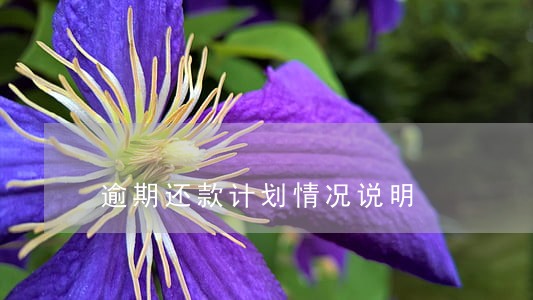 逾期还款计划情况说明 逾期还款计划情况说明