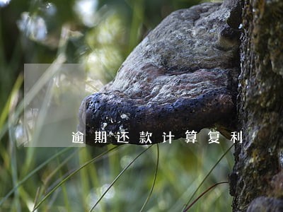 逾期还款计算复利 逾期还款计算复利