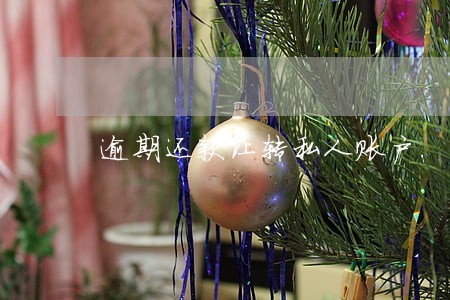 逾期还款让转私人账户 逾期还款让转私人账户