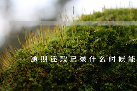 逾期还款记录什么时候能消 逾期还款记录什么时候能消