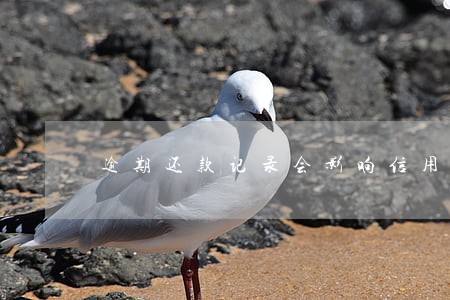 逾期还款记录会影响信用报告吗 逾期还款记录会影响信用报告吗