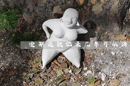 逾期还款记录几年可以消除1月 逾期还款记录几年可以消除1月