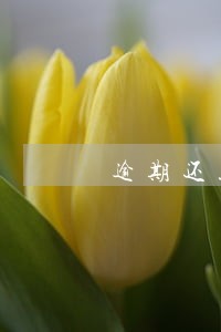逾期还款记录几时可以消除 逾期还款记录几时可以消除