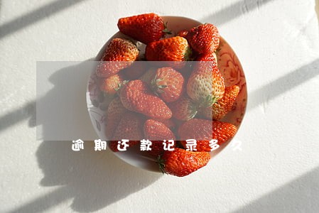 逾期还款记录多久 逾期还款记录多久