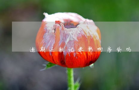 逾期还款记录影响房贷吗 逾期还款记录影响房贷吗